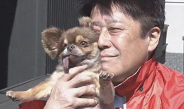 坂上忍のブログで愛犬を振り返る。ブー太郎/コウタ/ハルとギンジの死因